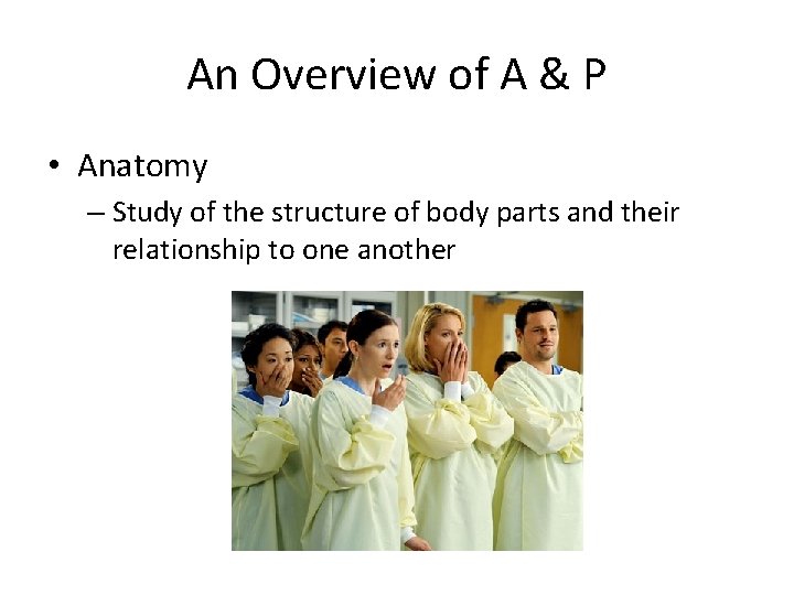 An Overview of A & P • Anatomy – Study of the structure of An Overview of A & P • Anatomy – Study of the structure of