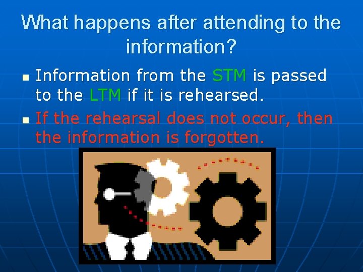 What happens after attending to the information? n n Information from the STM is