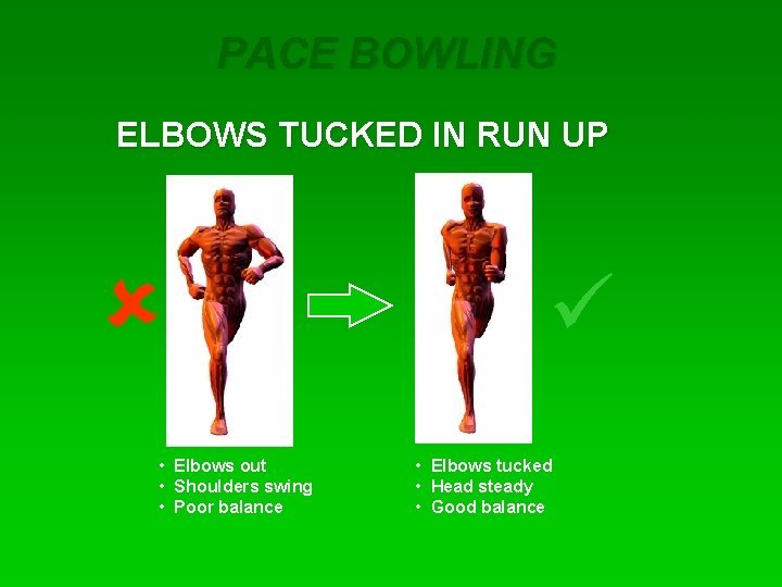 PACE BOWLING ELBOWS TUCKED IN RUN UP û • Elbows out • Shoulders swing