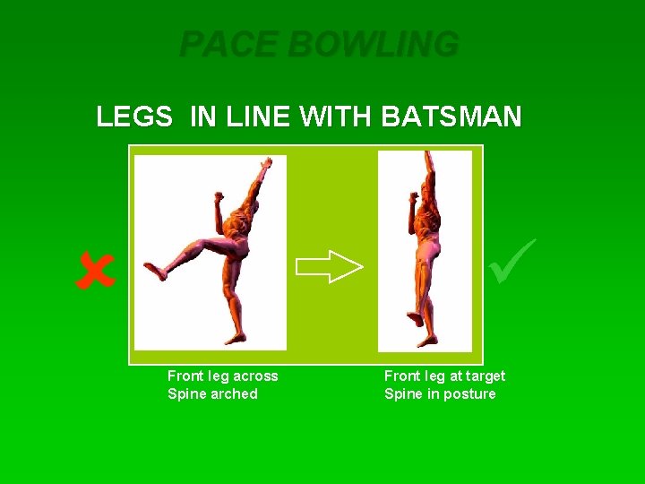 PACE BOWLING LEGS IN LINE WITH BATSMAN û ü Front leg across Spine arched