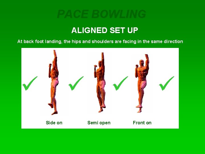 PACE BOWLING ALIGNED SET UP At back foot landing, the hips and shoulders are