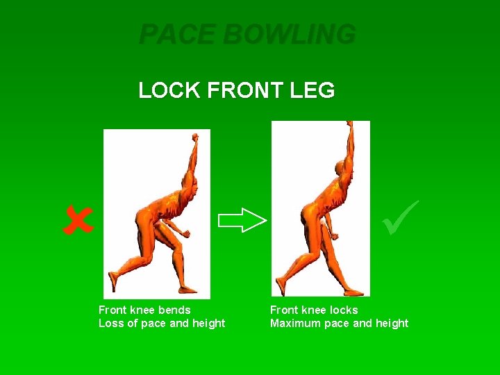 PACE BOWLING LOCK FRONT LEG û Front knee bends Loss of pace and height