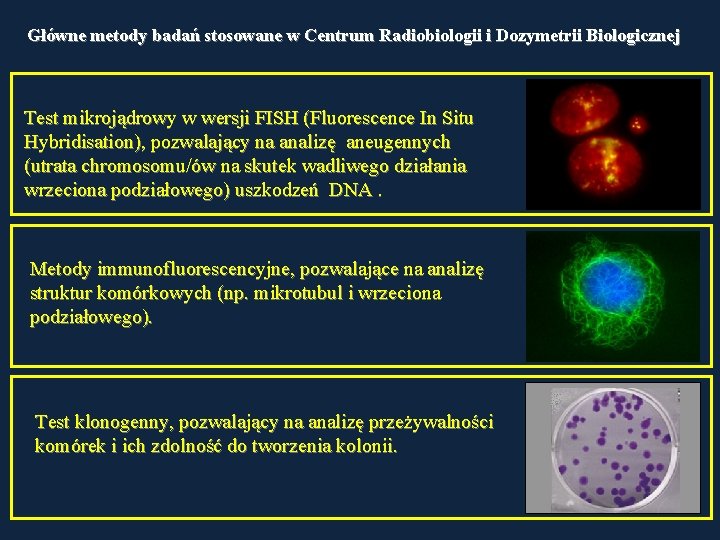 Główne metody badań stosowane w Centrum Radiobiologii i Dozymetrii Biologicznej Test mikrojądrowy w wersji