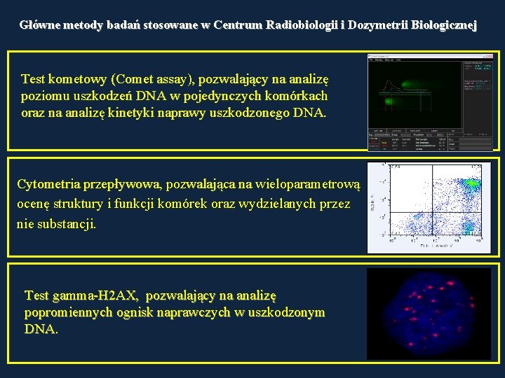 Główne metody badań stosowane w Centrum Radiobiologii i Dozymetrii Biologicznej Test kometowy (Comet assay),