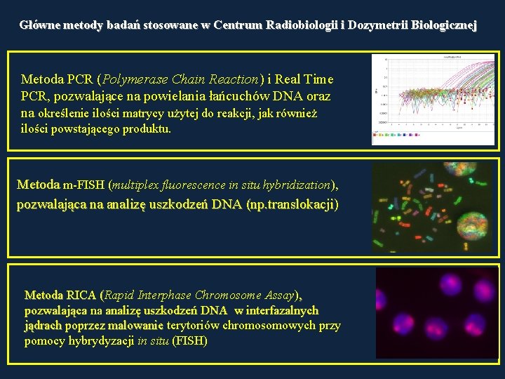 Główne metody badań stosowane w Centrum Radiobiologii i Dozymetrii Biologicznej Metoda PCR (Polymerase Chain