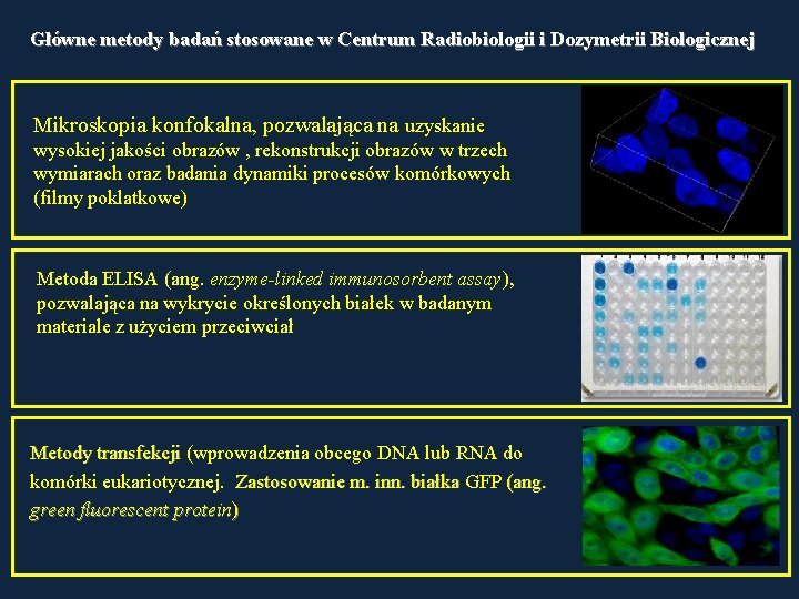 Główne metody badań stosowane w Centrum Radiobiologii i Dozymetrii Biologicznej Mikroskopia konfokalna, pozwalająca na