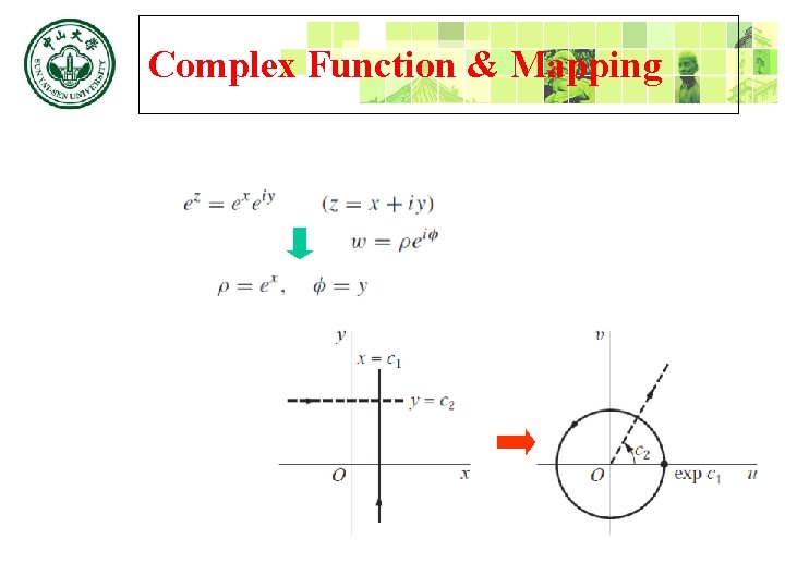 Complex Function & Mapping 