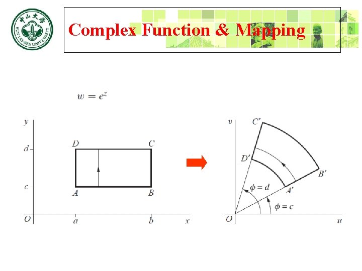 Complex Function & Mapping 