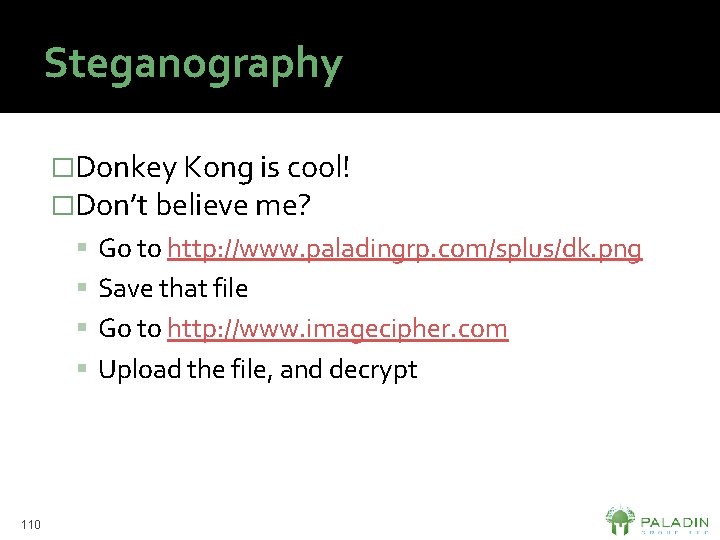 Steganography �Donkey Kong is cool! �Don’t believe me? Go to http: //www. paladingrp. com/splus/dk.