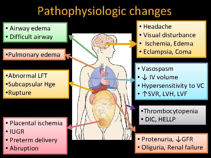 Pathophysiologic changes • Pulmonary edema • Headache • Visual disturbance • Ischemia, Edema •