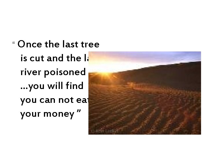 “ Once the last tree is cut and the last river poisoned …you will