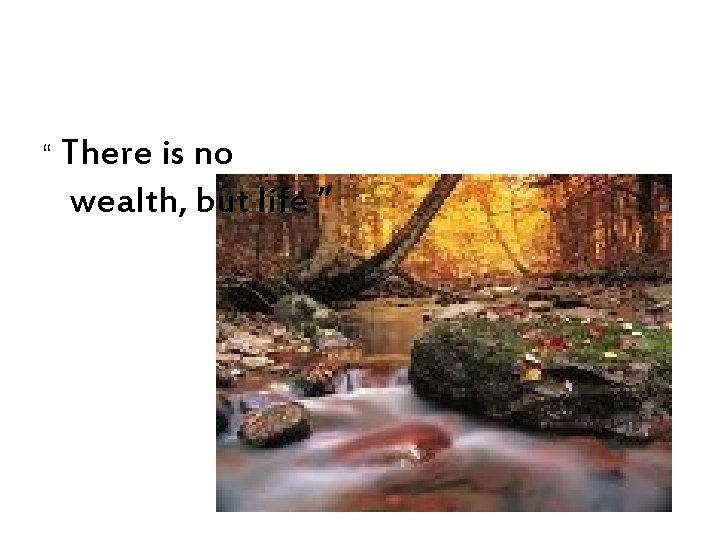“ There is no wealth, but life ” 