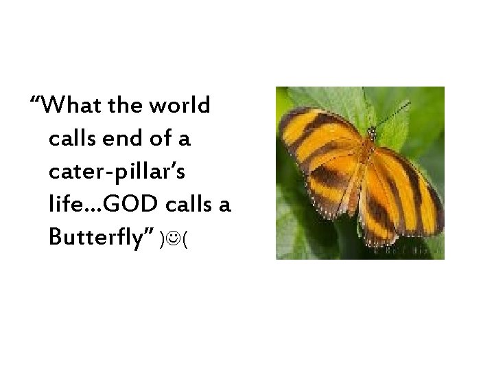 “What the world calls end of a cater-pillar’s life…GOD calls a Butterfly” ) (