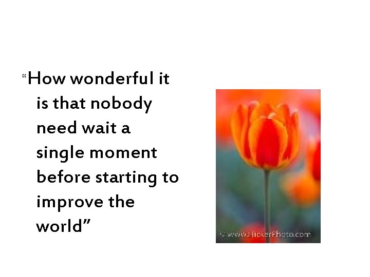 “How wonderful it is that nobody need wait a single moment before starting to