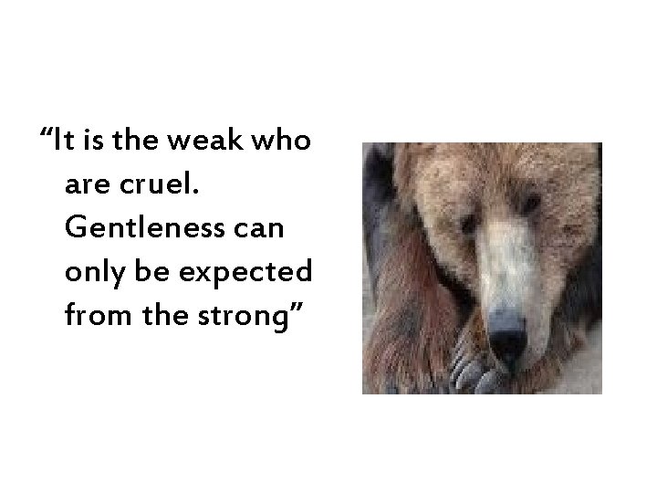 “It is the weak who are cruel. Gentleness can only be expected from the