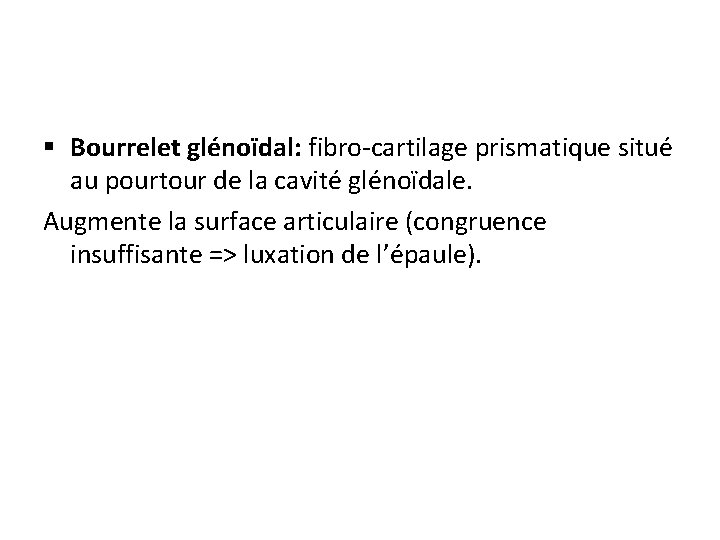 § Bourrelet glénoïdal: fibro-cartilage prismatique situé au pourtour de la cavité glénoïdale. Augmente la