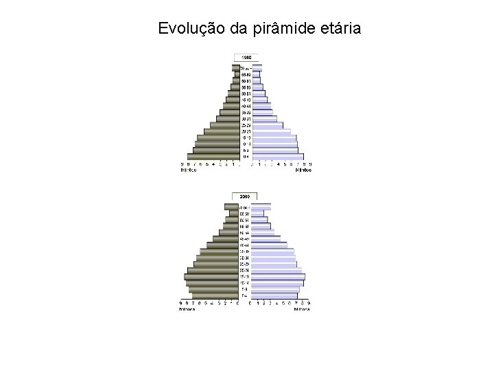 Evolução da pirâmide etária 