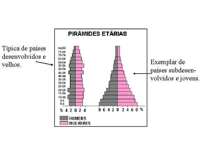 Típica de países desenvolvidos e velhos. Exemplar de países subdesenvolvidos e jovens. 