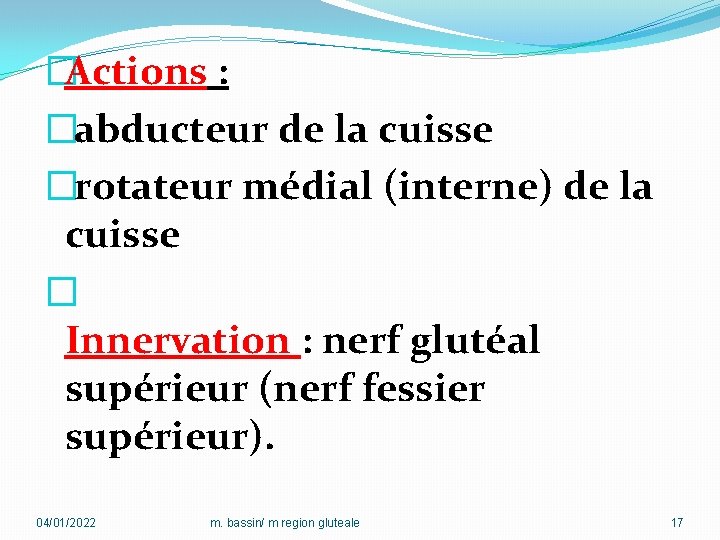 �Actions : �abducteur de la cuisse �rotateur médial (interne) de la cuisse � Innervation