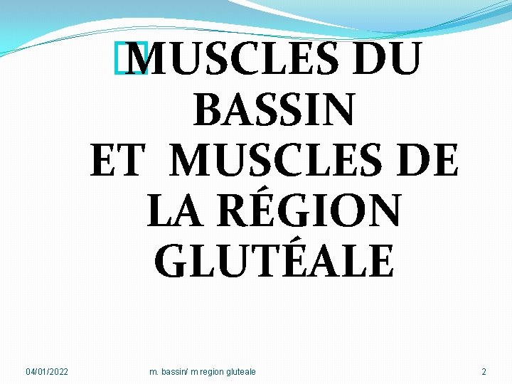 � MUSCLES DU BASSIN ET MUSCLES DE LA RÉGION GLUTÉALE 04/01/2022 m. bassin/ m