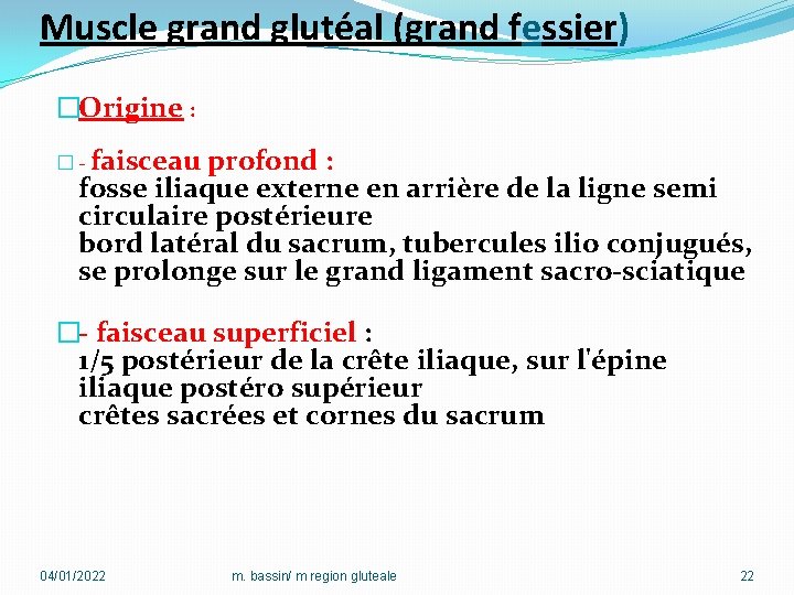 Muscle grand glutéal (grand fessier) �Origine : � - faisceau profond : fosse iliaque