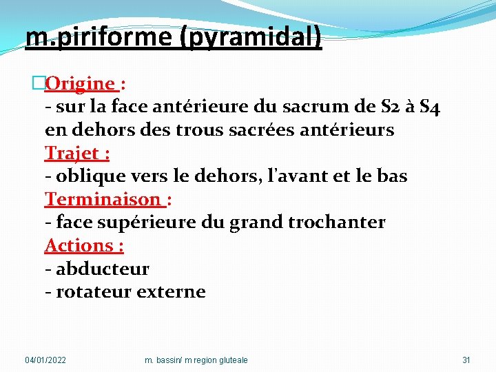 m. piriforme (pyramidal) �Origine : - sur la face antérieure du sacrum de S