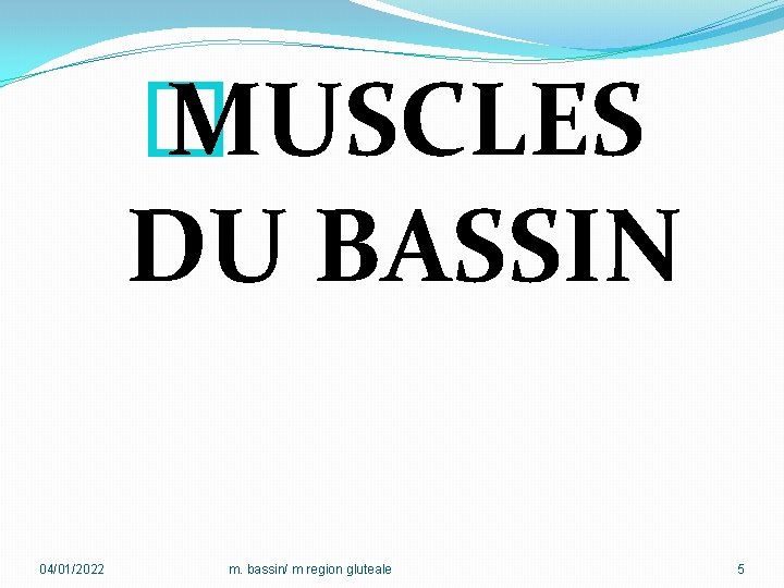 � MUSCLES DU BASSIN 04/01/2022 m. bassin/ m region gluteale 5 