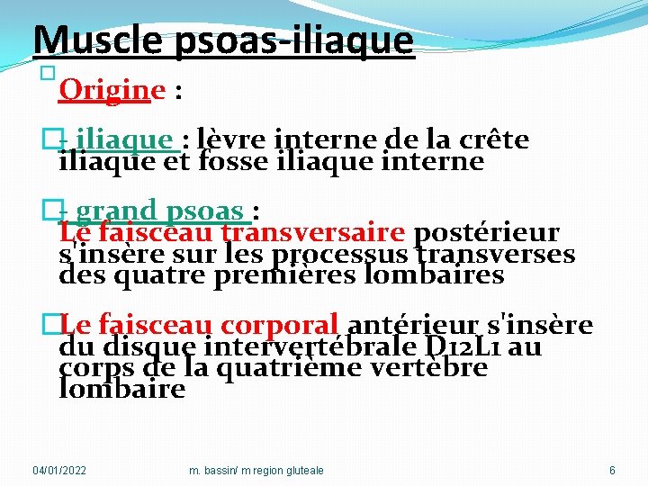 Muscle psoas-iliaque � Origine : �- iliaque : lèvre interne de la crête iliaque