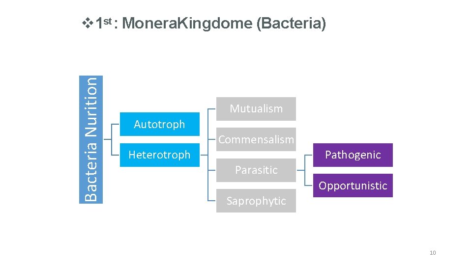 Bacteria Nurition 1 st : Monera. Kingdome (Bacteria) Mutualism Autotroph Commensalism Heterotroph Pathogenic Parasitic