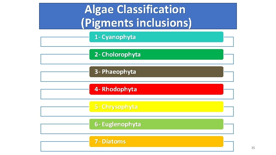 Algae Classification (Pigments inclusions) 1 - Cyanophyta 2 - Cholorophyta 3 - Phaeophyta 4