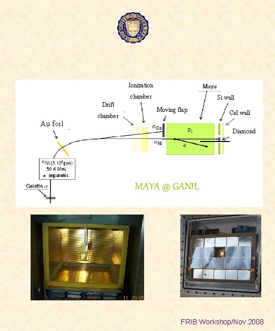 Ionization chamber Drift Au foil chamber Si wall Moving flap Cs. I wall Diamond