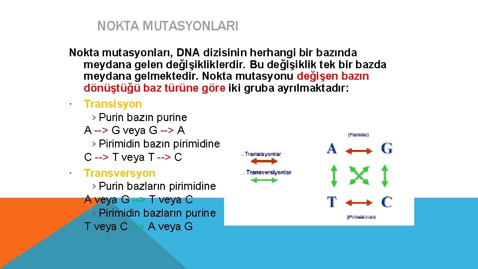 NOKTA MUTASYONLARI Nokta mutasyonları, DNA dizisinin herhangi bir bazında meydana gelen değişikliklerdir. Bu değişiklik