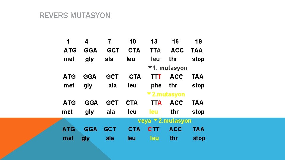 REVERS MUTASYON 1 ATG met 4 GGA gly 7 GCT ala ATG met GGA