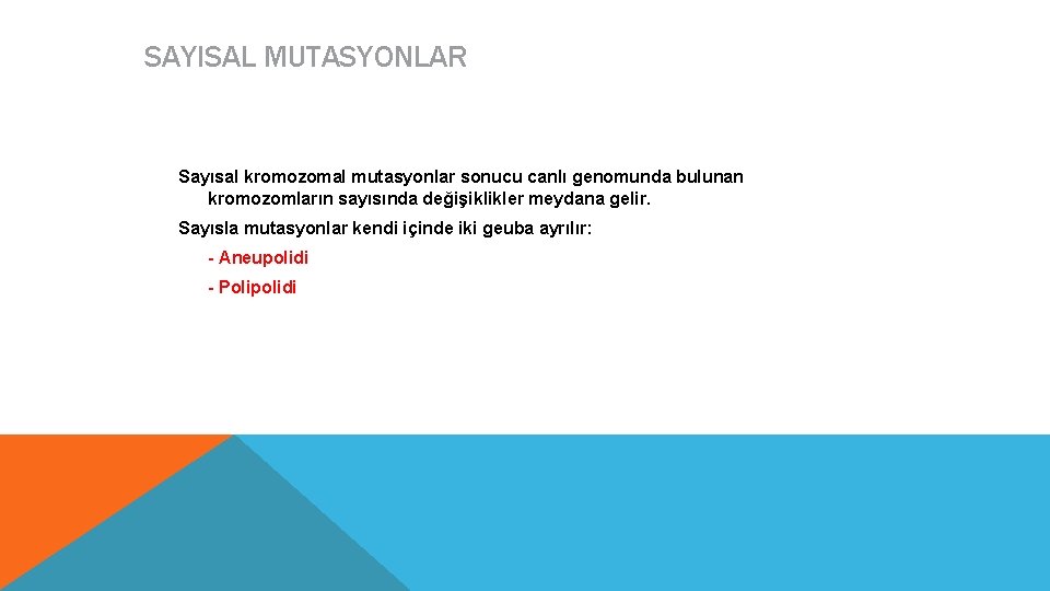 SAYISAL MUTASYONLAR Sayısal kromozomal mutasyonlar sonucu canlı genomunda bulunan kromozomların sayısında değişiklikler meydana gelir.