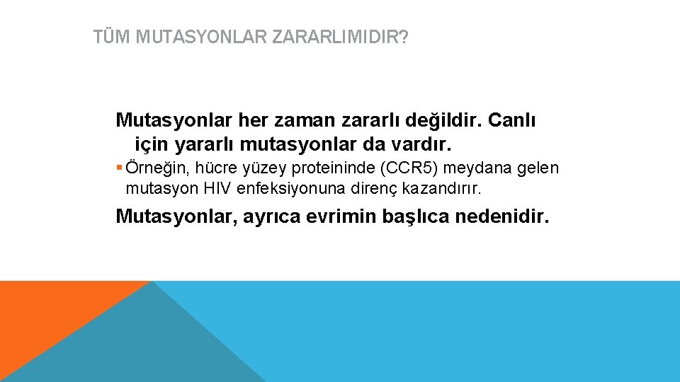 TÜM MUTASYONLAR ZARARLIMIDIR? Mutasyonlar her zaman zararlı değildir. Canlı için yararlı mutasyonlar da vardır.