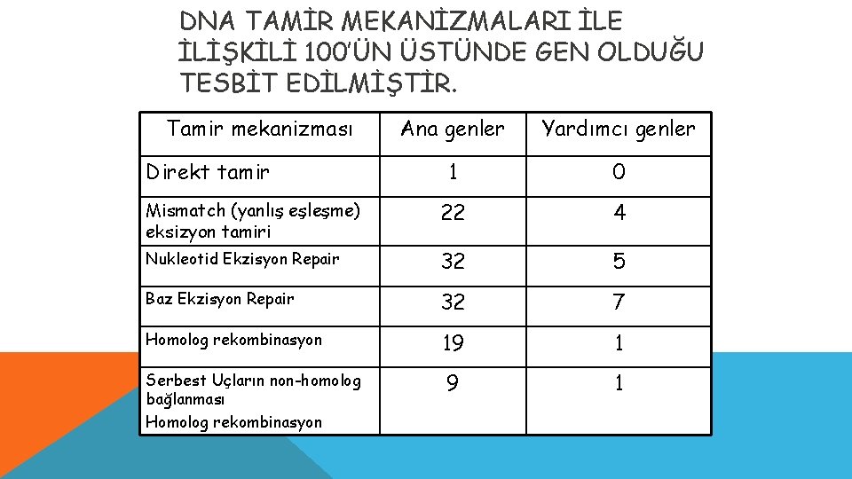 DNA TAMİR MEKANİZMALARI İLE İLİŞKİLİ 100’ÜN ÜSTÜNDE GEN OLDUĞU TESBİT EDİLMİŞTİR. Tamir mekanizması Ana