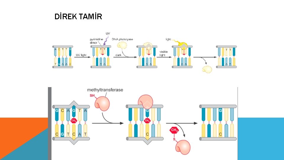 DİREK TAMİR 