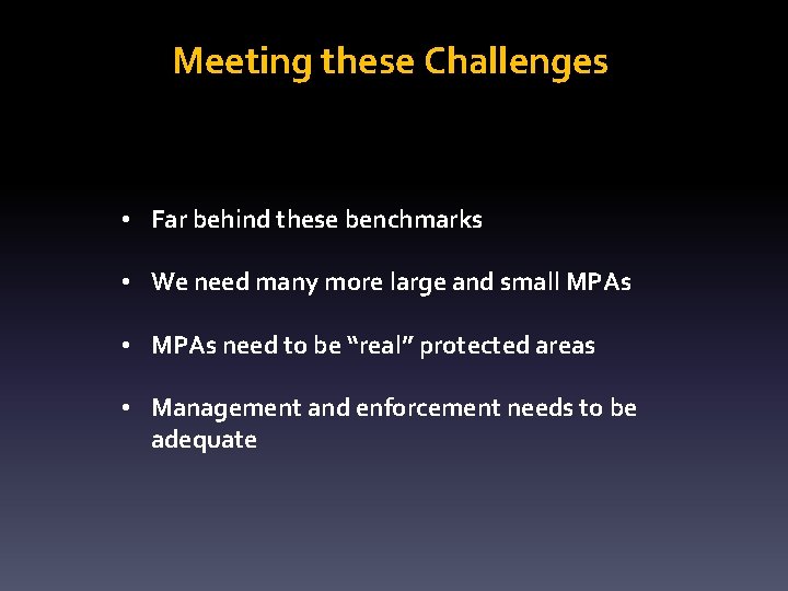 Meeting these Challenges • Far behind these benchmarks • We need many more large