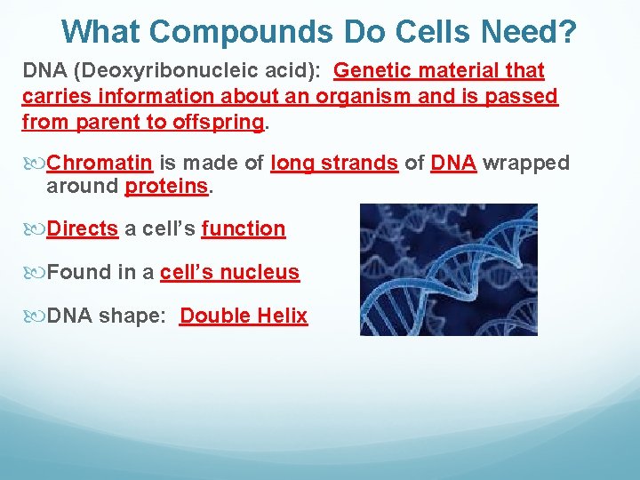 What Compounds Do Cells Need? DNA (Deoxyribonucleic acid): Genetic material that carries information about