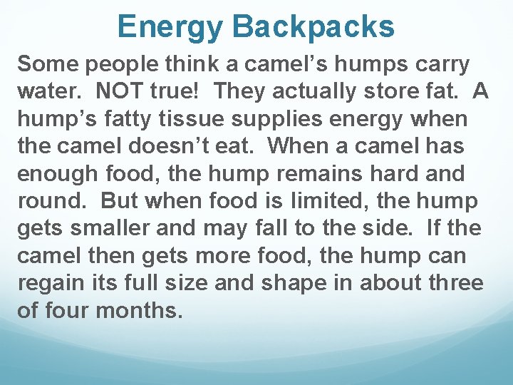 Energy Backpacks Some people think a camel’s humps carry water. NOT true! They actually