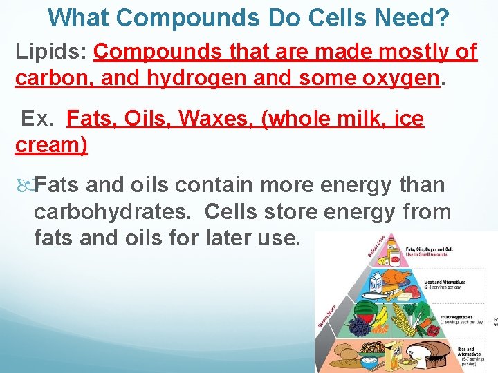 What Compounds Do Cells Need? Lipids: Compounds that are made mostly of carbon, and