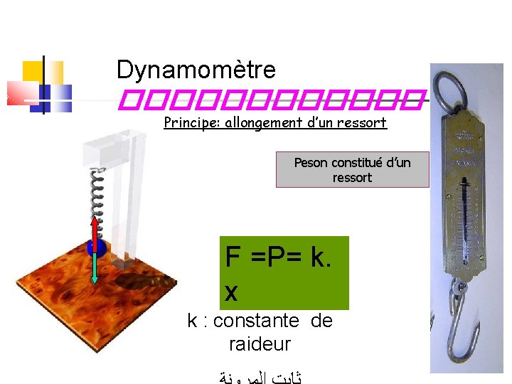 Dynamomètre ������ Principe: allongement d’un ressort Peson constitué d’un ressort F =P= k. x