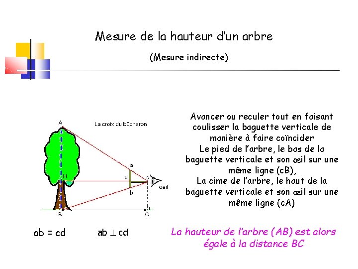 Mesure de la hauteur d’un arbre (Mesure indirecte) Avancer ou reculer tout en faisant