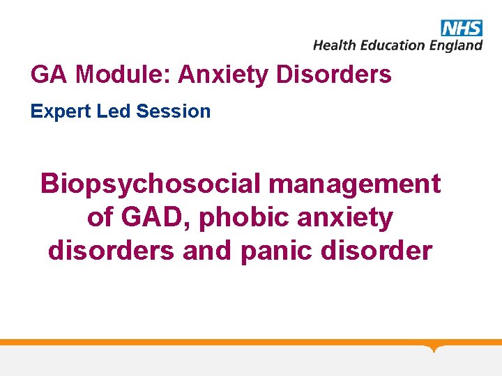 GA Module: Anxiety Disorders Expert Led Session Biopsychosocial management of GAD, phobic anxiety disorders