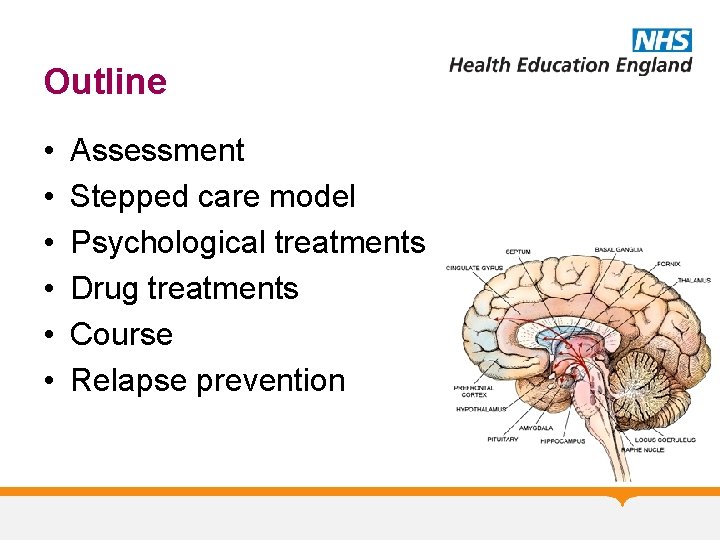 Outline • • • Assessment Stepped care model Psychological treatments Drug treatments Course Relapse