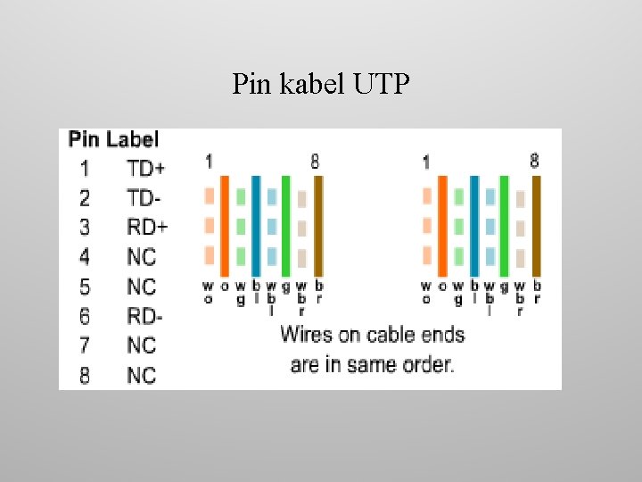 Pin kabel UTP 