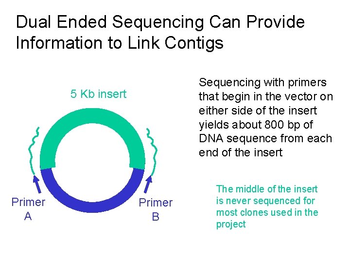 Dual Ended Sequencing Can Provide Information to Link Contigs Sequencing with primers that begin