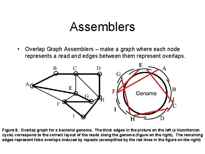 Assemblers • Overlap Graph Assemblers – make a graph where each node represents a