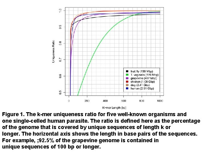 Figure 1. The k-mer uniqueness ratio for five well-known organisms and one single-celled human