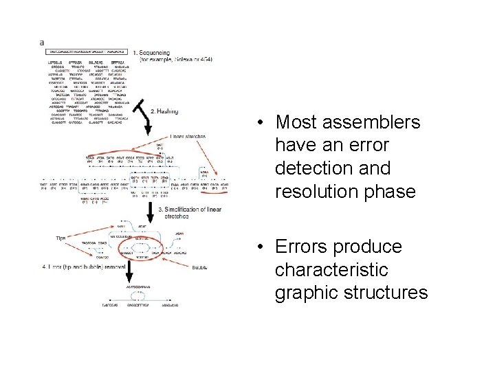  • Most assemblers have an error detection and resolution phase • Errors produce